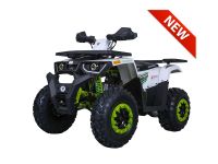 TaoTao | G200 |  200cc | Full Size | Utility ATV